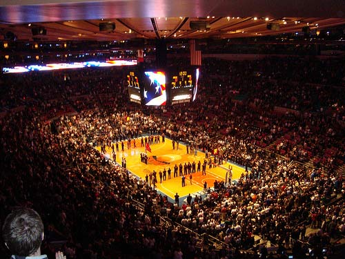 NY Knicks Fan